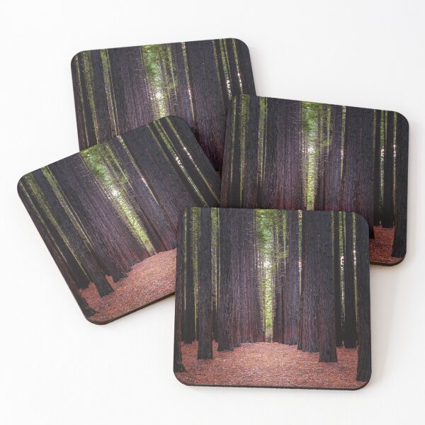 Item preview, Redwood Forest, Warburton, Victoria, Australia designed and sold by Scott Harty.
