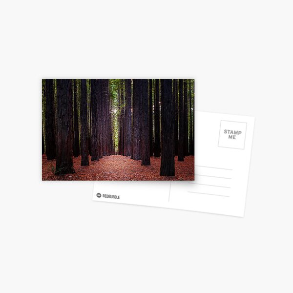 Item preview, Redwood Forest, Warburton, Victoria, Australia designed and sold by Scott Harty.