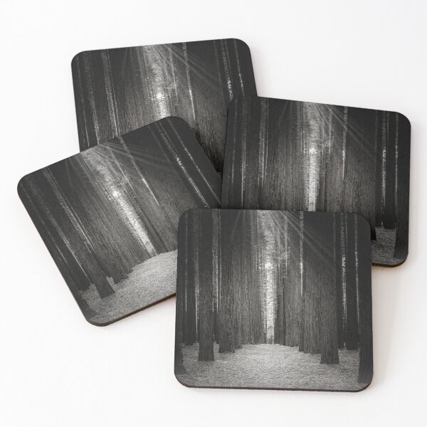 Item preview, Redwood Forest (B&W), Warburton, Victoria, Australia designed and sold by Scott Harty.
