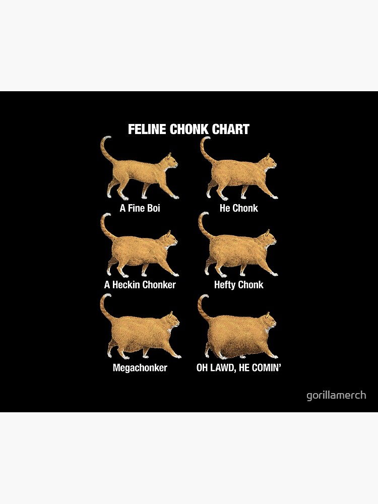 Funny Gift Cats Meme Chonk Cat Chart Tank Top