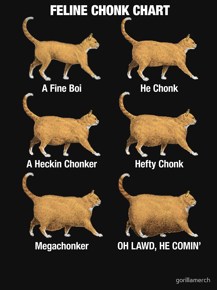 Feline Conk Chart, Funny Chonk Cat Meme | Poster