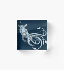 See Kaiser Transparent Acrylblock