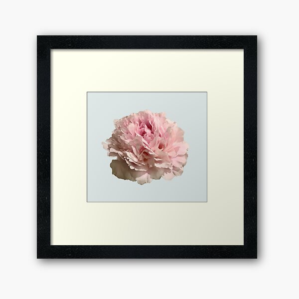 Item preview, Pale Pink Peony on Pale Aqua Background designed and sold by InalterataArt.