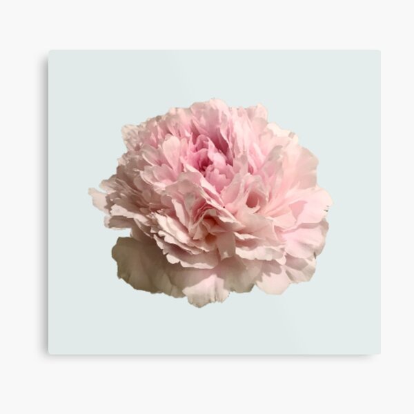 Item preview, Pale Pink Peony on Pale Aqua Background designed and sold by InalterataArt.