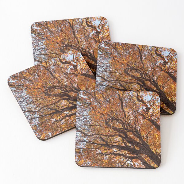 Item preview, Beautiful Autumn Trees against the sky designed and sold by CyaniRose.