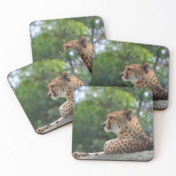 Item preview, Cheetah King designed and sold by briana-rose.