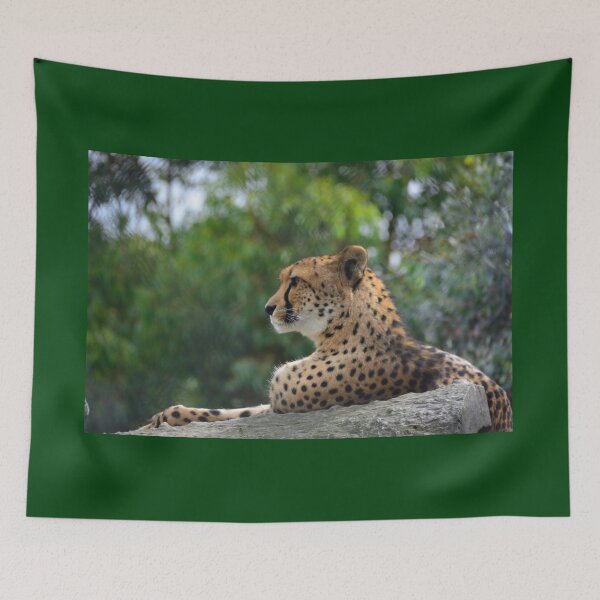 Item preview, Cheetah King designed and sold by briana-rose.