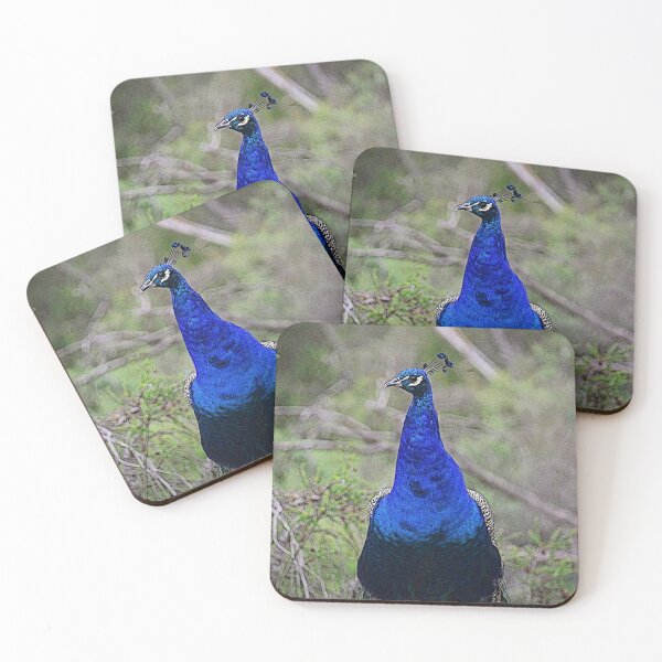 Item preview, Cartoon Peacock designed and sold by briana-rose.