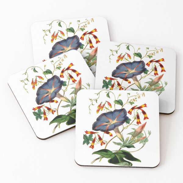 Item preview, Ipomea vintage illustration designed and sold by philozei.