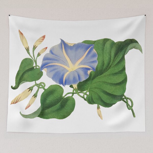 Item preview, Ipomea Vintage illustration designed and sold by philozei.