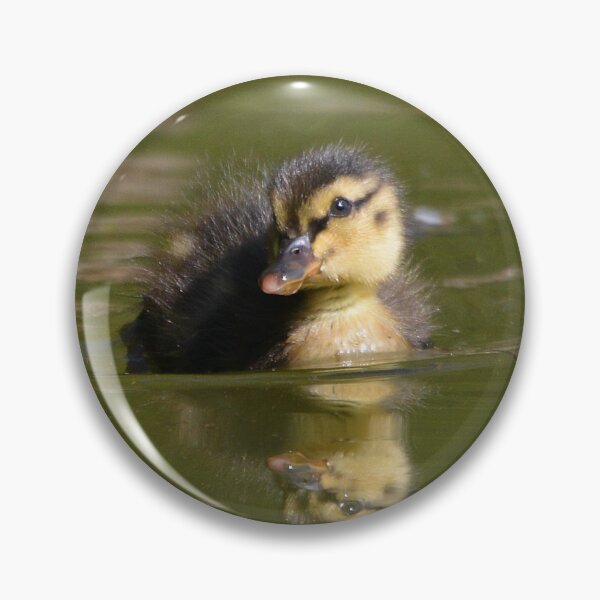 Artikelvorschau, Fluffy Little Mallard Duckling entworfen und verkauft von ClaireChown.