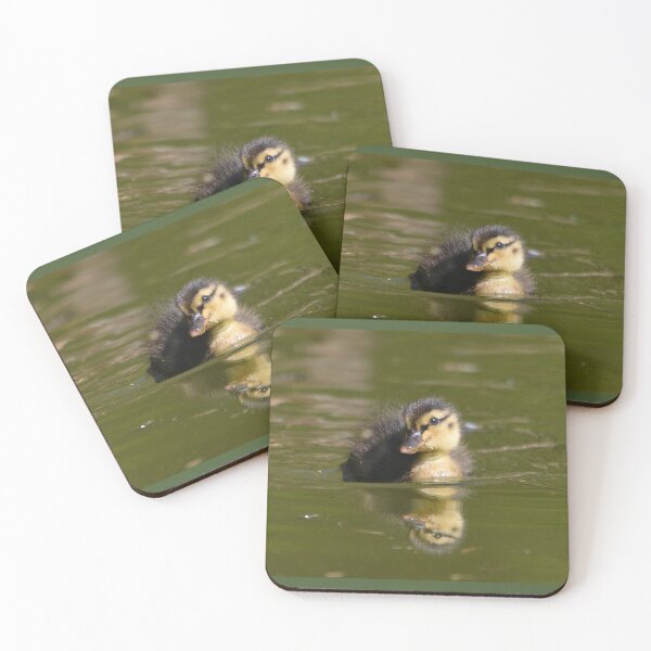Artikelvorschau, Fluffy Little Mallard Duckling entworfen und verkauft von ClaireChown.