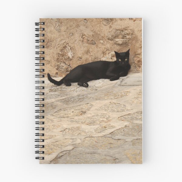 Item preview, Spanish black cat designed and sold by Esther  Moliné.