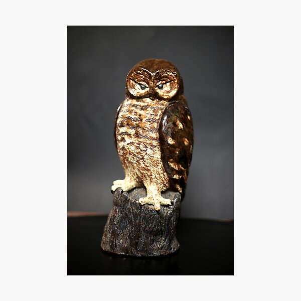 Owl Sculpture Photographic Print