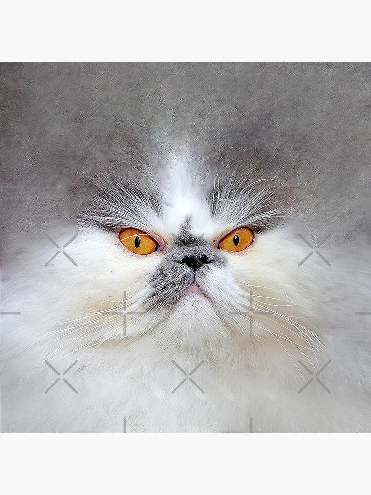 angry cat' Sticker