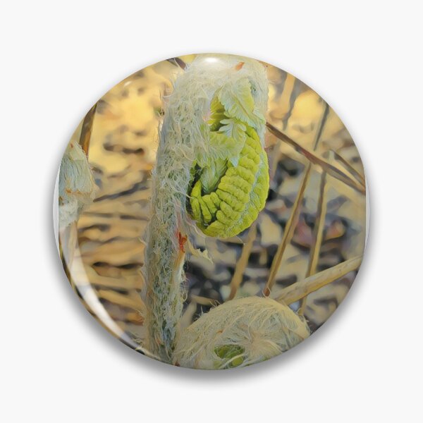 Item preview, Emerging Fern Fiddlehead designed and sold by Redhead1022.