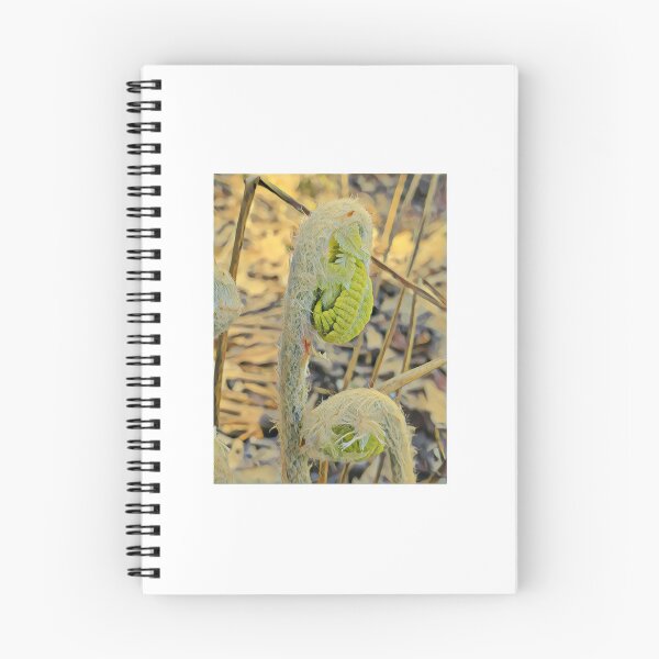 Item preview, Emerging Fern Fiddlehead designed and sold by Redhead1022.