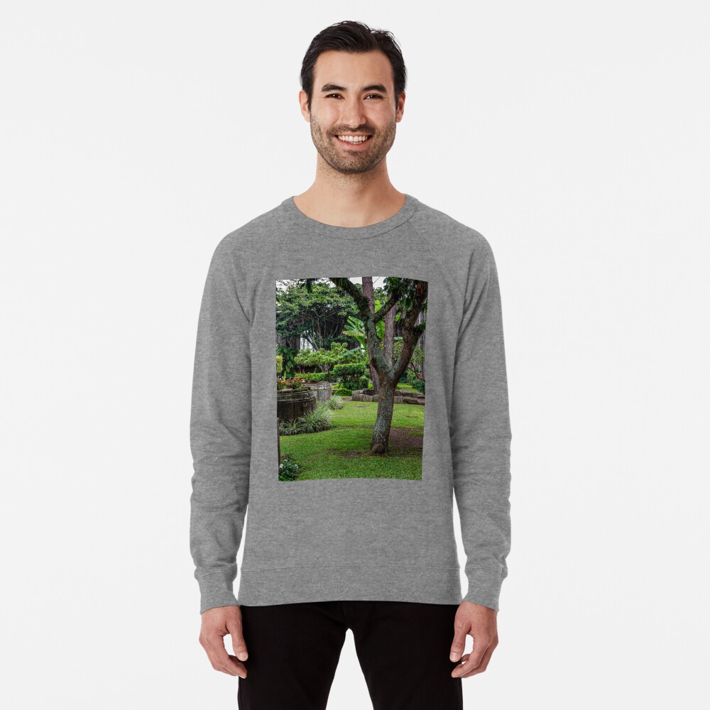 Item preview, Lightweight Sweatshirt designed and sold by darren-j-mcleod.