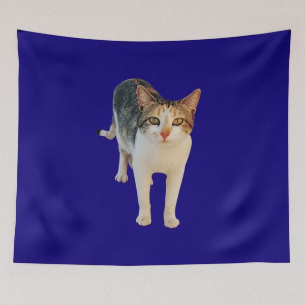 Item preview, Best Cat Mom Ever designed and sold by ELBERSAID.