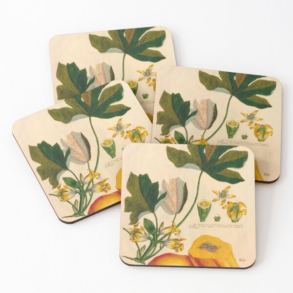 Item preview, Ilustración de fruta vintage - Papaya designed and sold by Gardenlibrary.