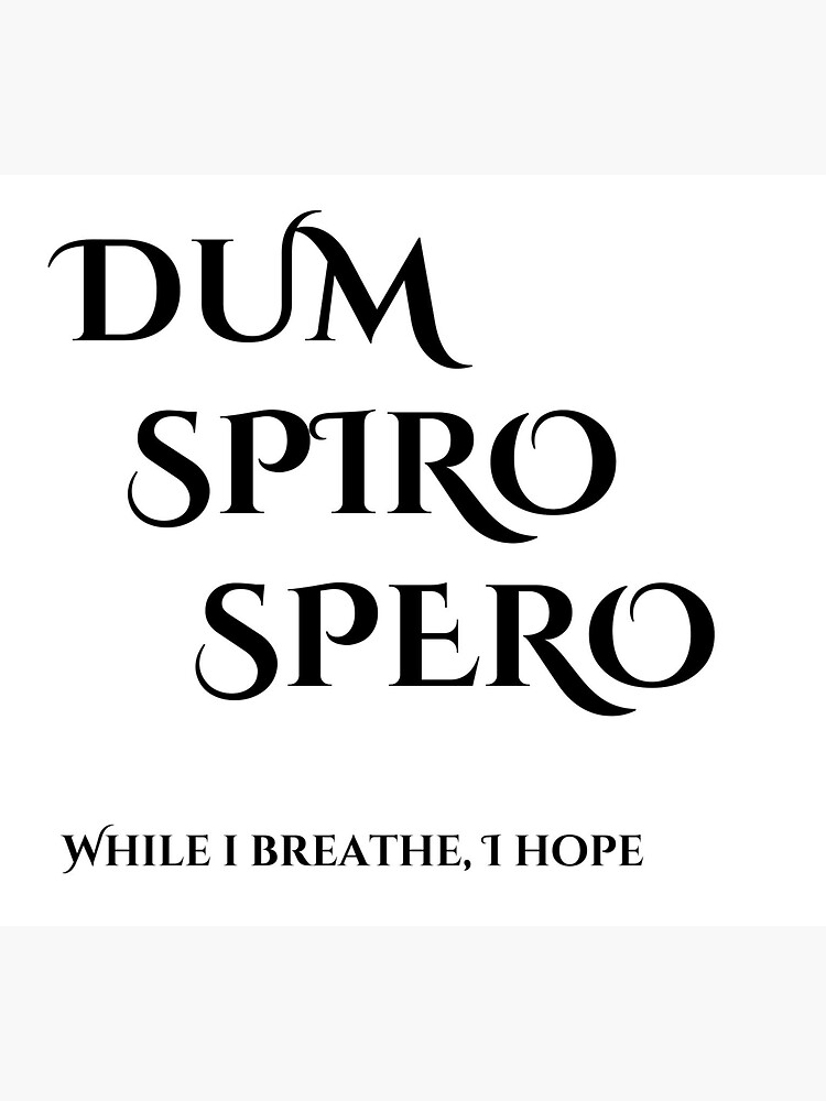 Dum spiro spero картинка