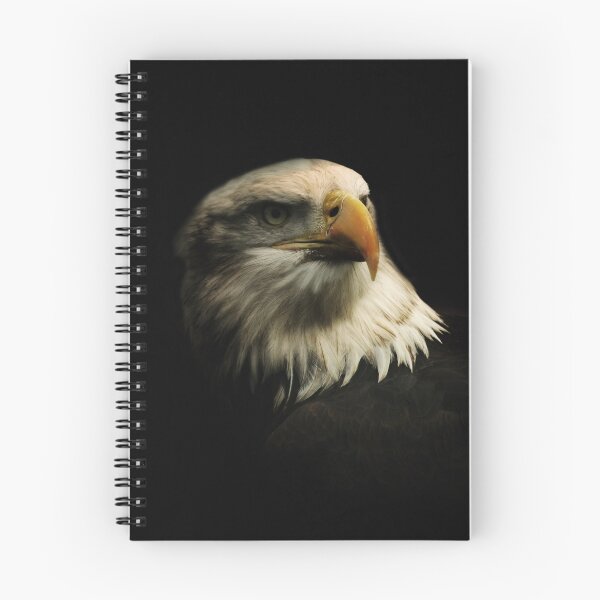 Item preview, American Icon   designed and sold by larry flewers.