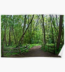 If you go down to the woods today Poster