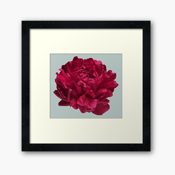Item preview, Scarlet Red Peony Close-up  designed and sold by InalterataArt.