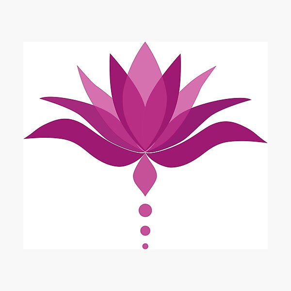 Lotus flower Photographic Print