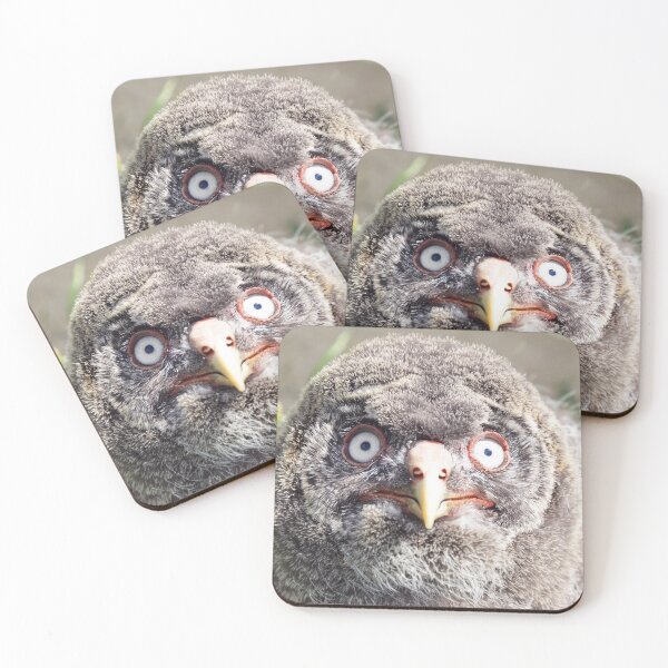 Item preview, Baby Great Grey Owl Portrait designed and sold by ClaireChown.