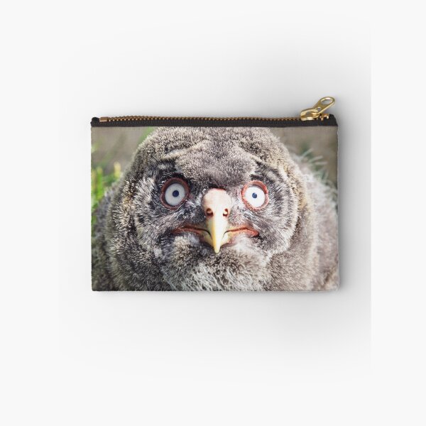 Item preview, Baby Great Grey Owl Portrait designed and sold by ClaireChown.