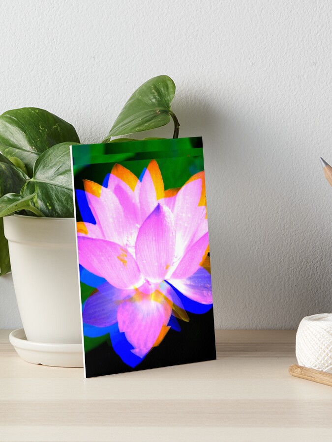 Thumbnail 1 of 2, Art Board Print, Lovely Lotus designed and sold by April Dowling.