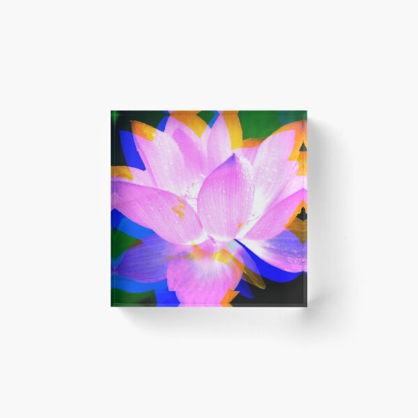 Lovely Lotus Acrylic Block
