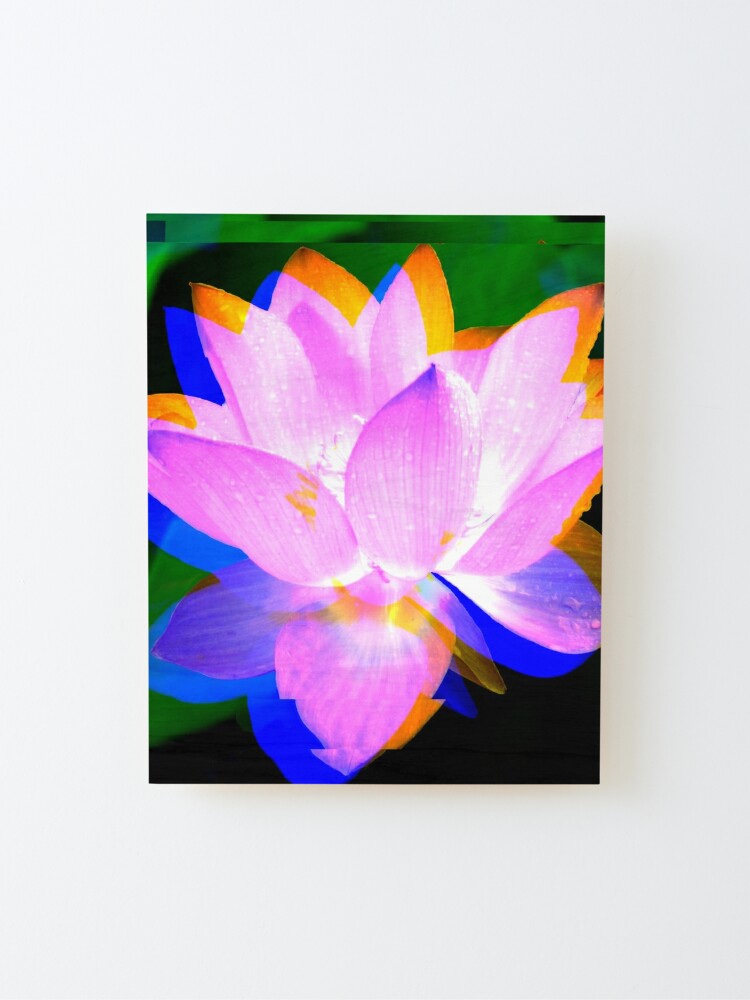 Thumbnail 2 of 6, Mounted Print, Lovely Lotus designed and sold by April Dowling.