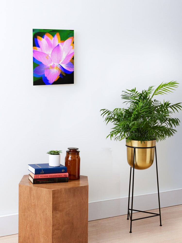 Thumbnail 1 of 6, Mounted Print, Lovely Lotus designed and sold by April Dowling.