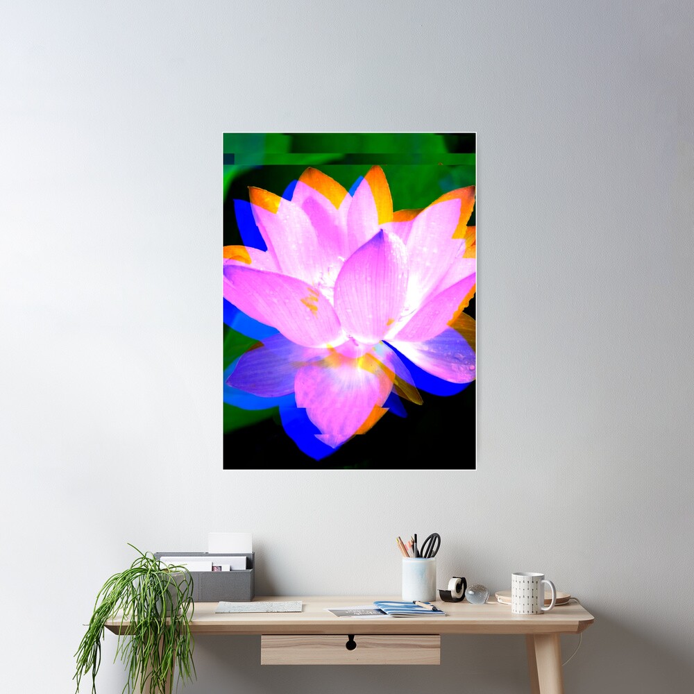 Lovely Lotus Poster