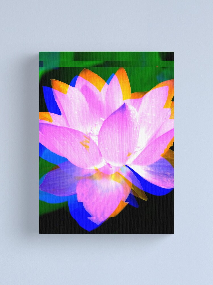 Alternate view of Lovely Lotus Canvas Print