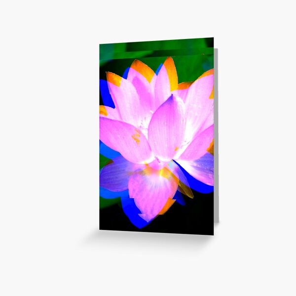Lovely Lotus Greeting Card