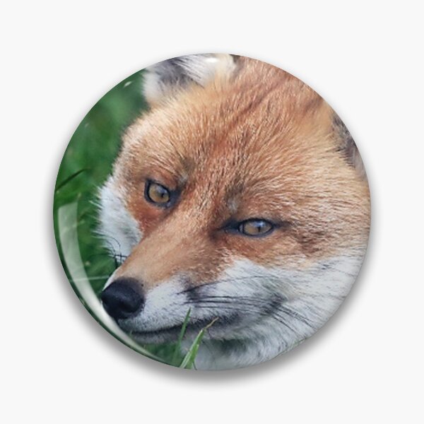 Item preview, A Gorgeous Smiling Fox designed and sold by Karen Thomson.