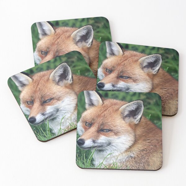 Item preview, A Gorgeous Smiling Fox designed and sold by Karen Thomson.