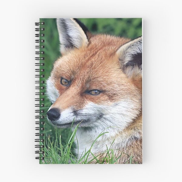 Item preview, A Gorgeous Smiling Fox designed and sold by Karen Thomson.