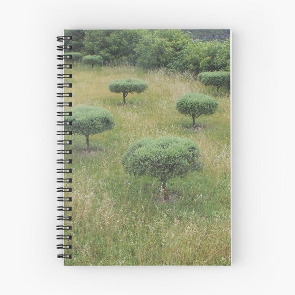 Item preview, Olive Trees designed and sold by GasconyPassion.