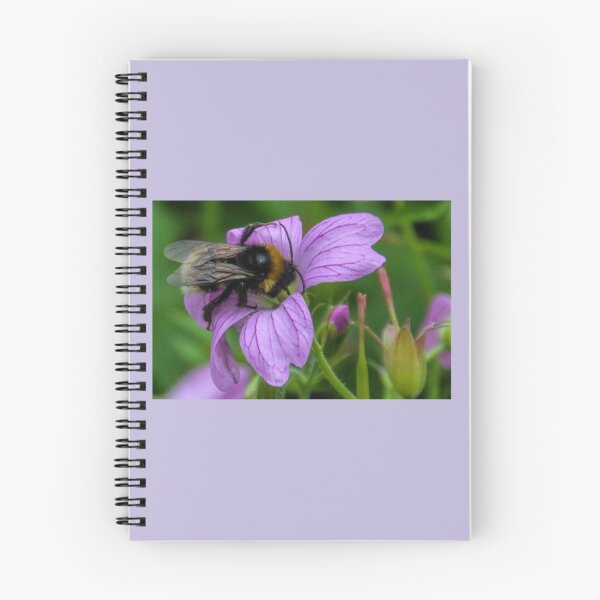 Item preview, A Bee or not a Bee...........Dorset UK designed and sold by lynn carter.