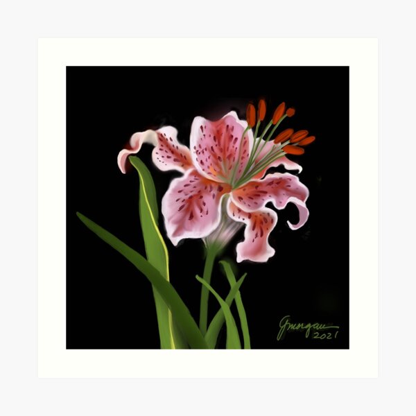 Tiger Lily Art Print