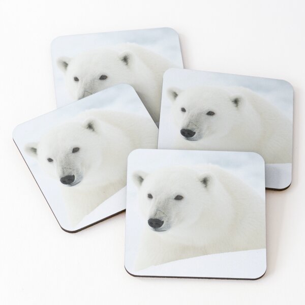 Item preview,  Polar Bear canvas, Polar Bear , animal, animals, Polar Bear wall art, Polar Bear artwork, wild, Polar Bear art,Polar Bear painting designed and sold by eyesight4vision.
