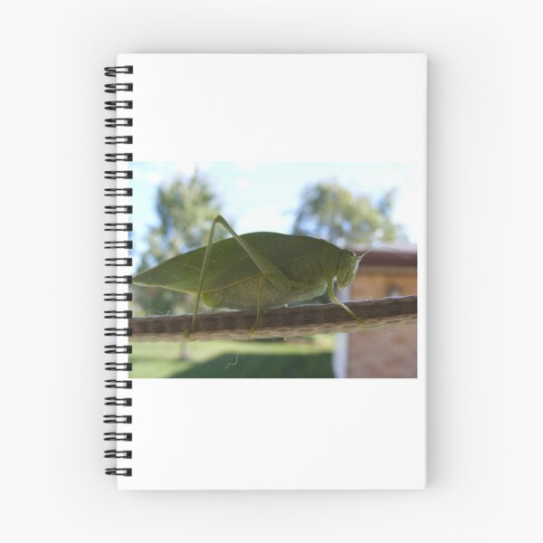 Item preview, Katydid in Summer designed and sold by Jamie Pauline.