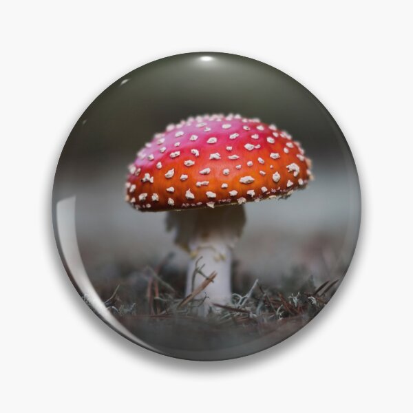 Item preview, Toadstool # 2 designed and sold by Psilographics.