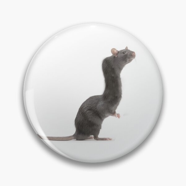 Item preview, old long rat designed and sold by sashimi-kun.