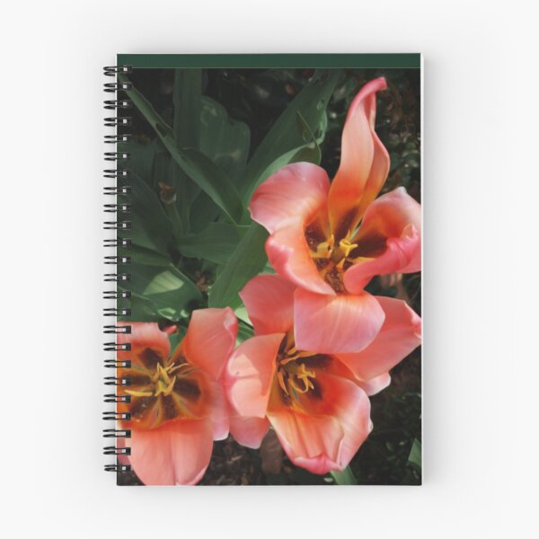 Item preview, Red tulips bouquet - bold photo design designed and sold by kikidu21.