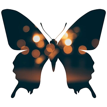 Imagen de la obra Night Butterfly de Patternsonly